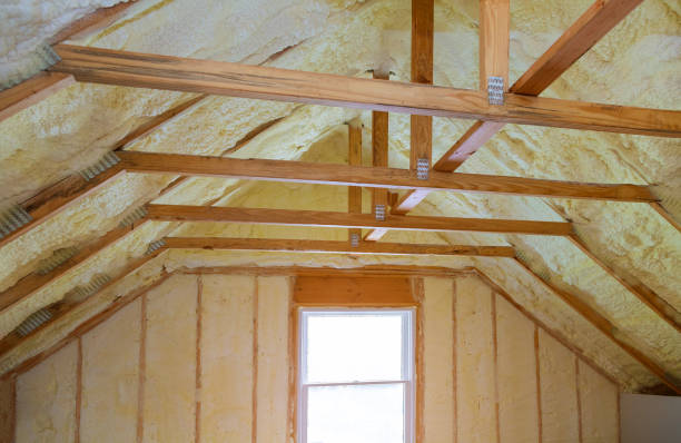Best Professional Insulation Contractor  in Sparks, GA