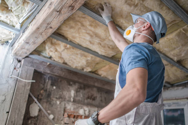 Best Insulation Installation Cost  in Sparks, GA