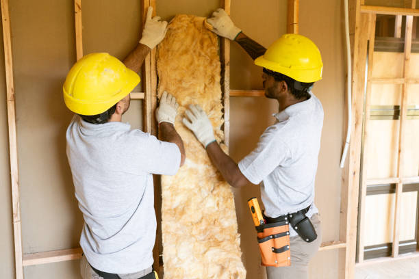 Best Home Insulation Services  in Sparks, GA