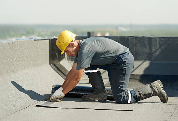 Best Insulation for New Construction  in Sparks, GA
