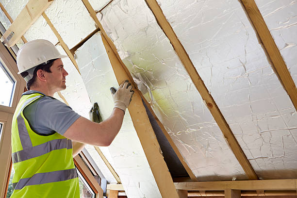 Best Attic Insulation Installation  in Sparks, GA